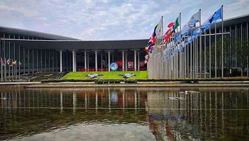 與世界共享農業未來 世界農產品點亮中國進博會